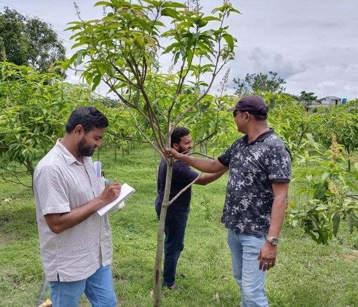 filter: 0; fileterIntensity: 0.0; filterMask: 0; captureOrientation: 90;
brp_mask:0;
brp_del_th:null;
brp_del_sen:null;
delta:null;
module: photo;hw-remosaic: false;touch: (-1.0, -1.0);sceneMode: 2;cct_value: 0;AI_Scene: (-1, -1);aec_lux: 0.0;aec_lux_index: 0;albedo:  ;confidence:  ;motionLevel: -1;weatherinfo: null;temperature: 38;